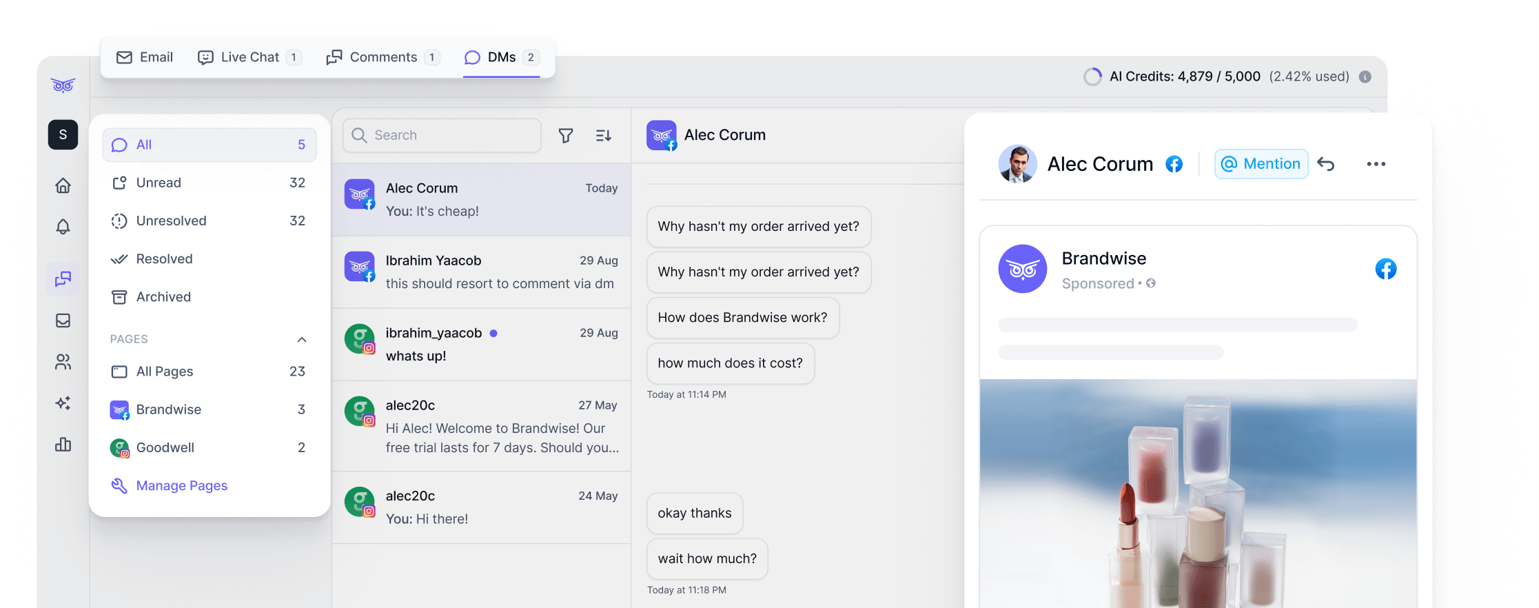 Brandwise dashboard preview