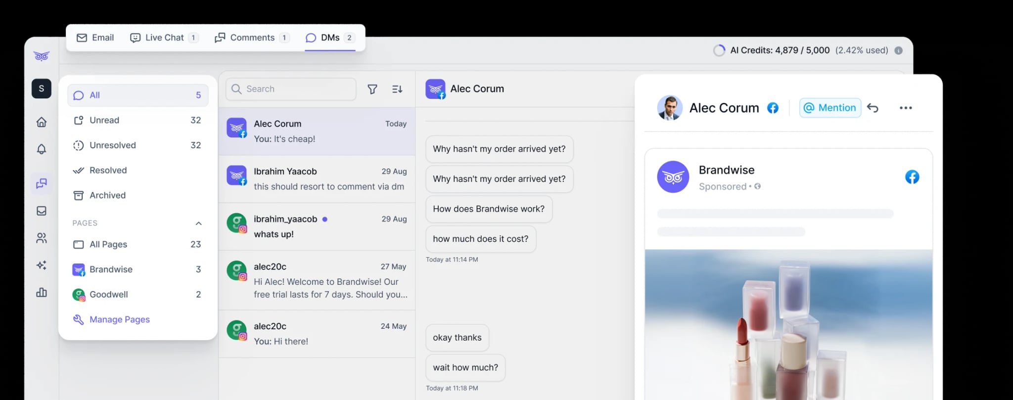 Brandwise dashboard preview